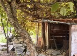 8. Detached house with private garden in Torno Lake Como