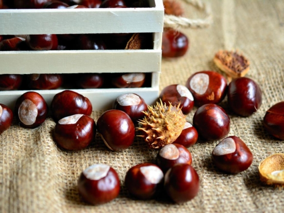 Castagne: benefici differenze e ricetta facile al forno