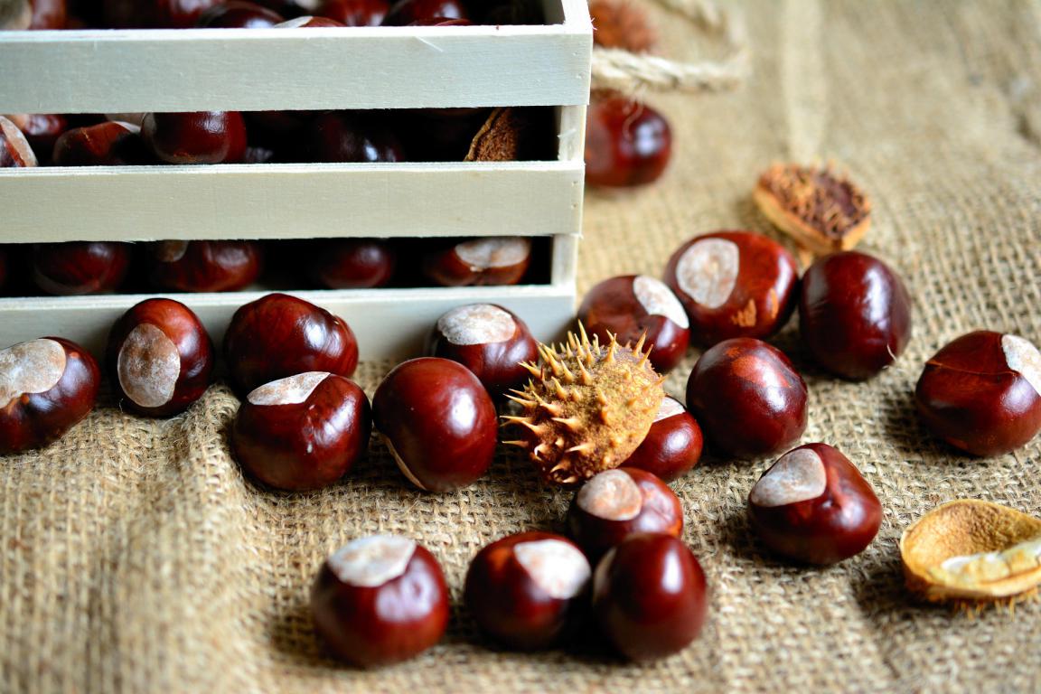 Castagne: benefici differenze e ricetta facile al forno