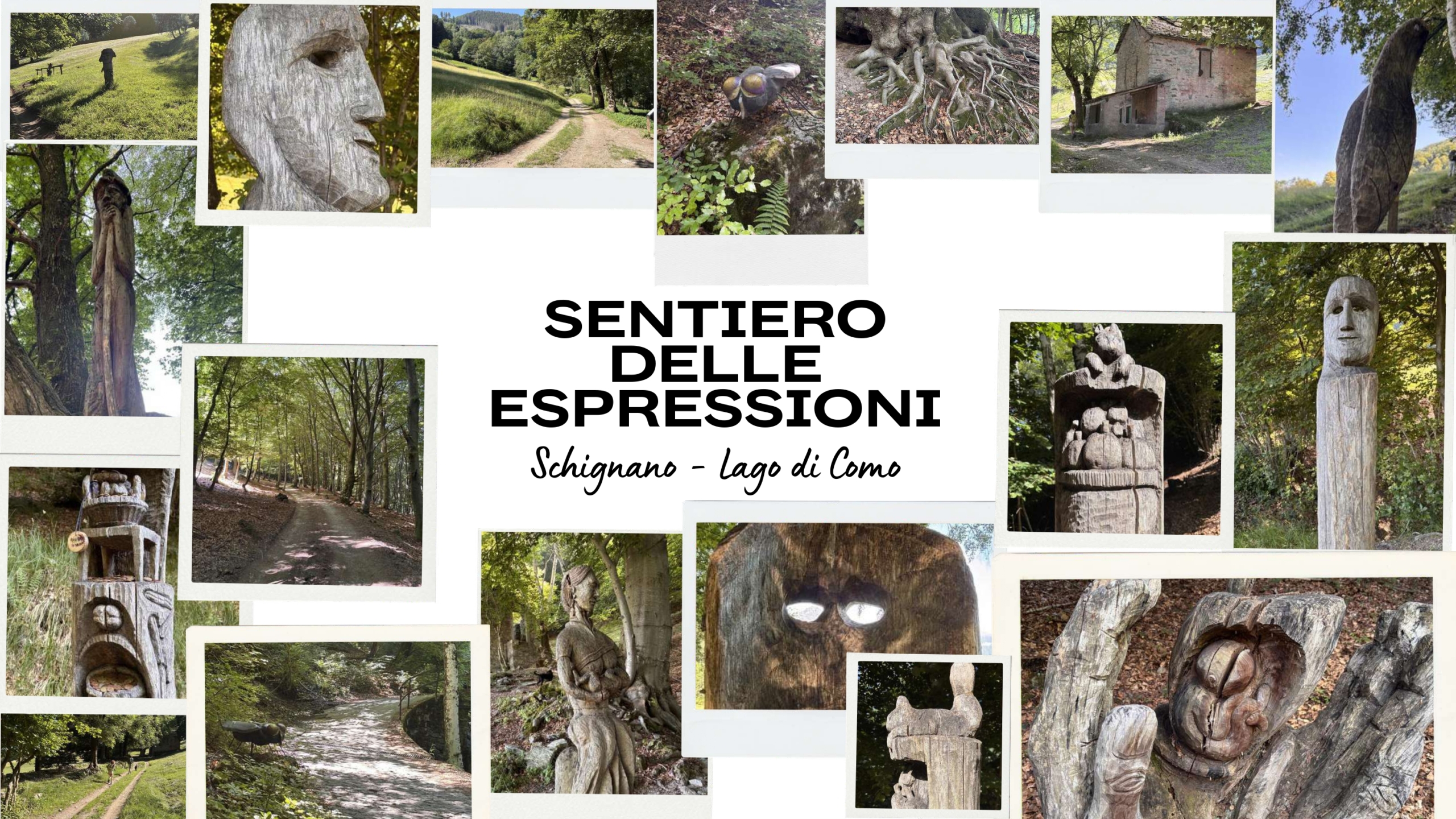 sentiero delle espressioni art trail on Lake Como