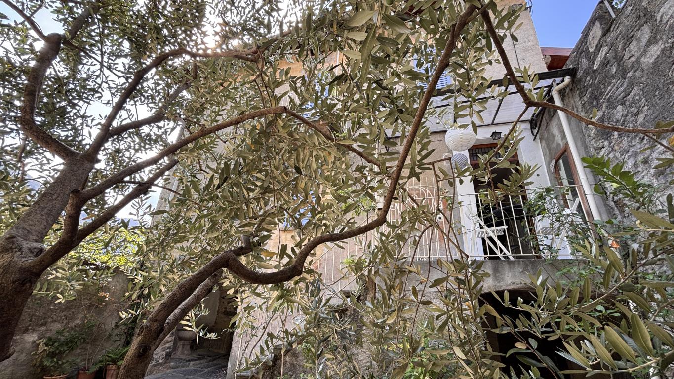 18 Property easy walkink distance lake Como Laglio