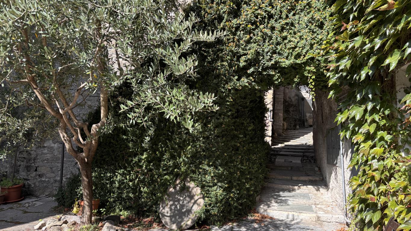 20 Property for sale with picturesque setting away from the busy tourist areas Laglio
